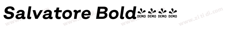 Salvatore Bold字体转换